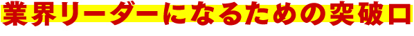 業界リーダーになるための突破口