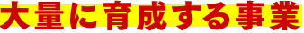 大量に育成する事業