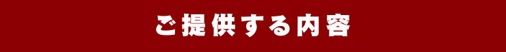 ご提供する内容